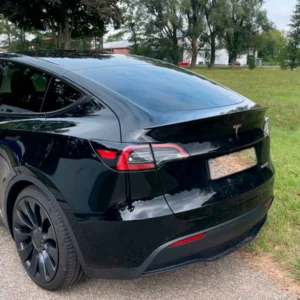 Tesla Model Y Performance