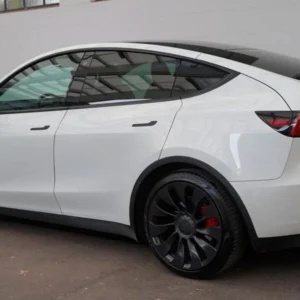 Tesla Model Y Performance